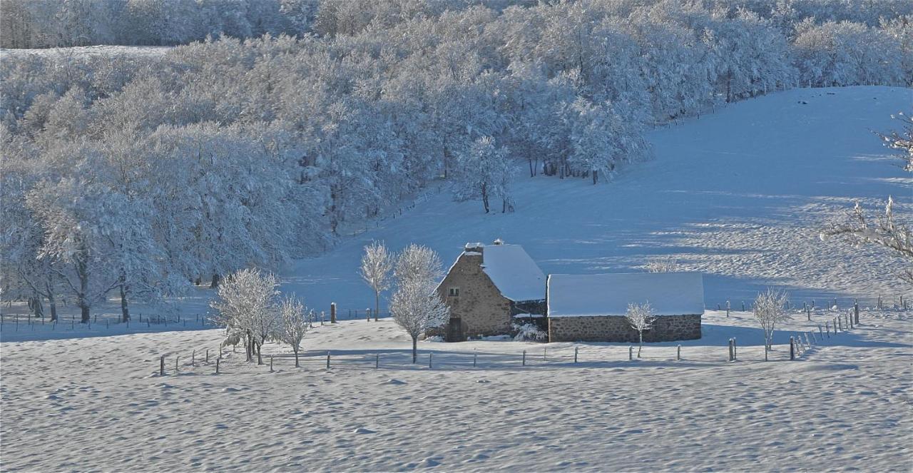 Aux Portes D'Aubrac Studio 2 Personnes Bed and Breakfast Condom-d'Aubrac Εξωτερικό φωτογραφία